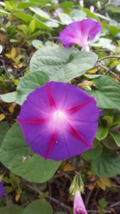 %e3%81%b2%e3%81%a8%e3%82%8a%e3%81%98%e3%82%83%e3%81%aa%e3%81%84%ef%bc%81%e3%81%bf%e3%82%93%e3%81%aa%e3%81%ab%e6%94%af%e3%81%88%e3%82%89%e3%82%8c%e3%81%a6%e3%82%8b%ef%bc%812016-11-1