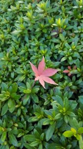 %e3%81%8a%e9%87%91%e3%82%84%e6%99%82%e9%96%93%e3%81%af%e6%9c%89%e9%99%902016-12-11