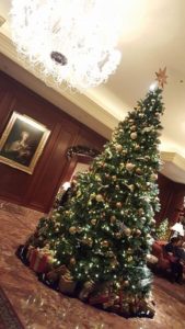 %e3%81%8a%e5%ae%a2%e6%a7%98%e7%9b%ae%e7%b7%9a%e3%81%8c%e5%a4%a7%e5%88%87%ef%bc%81%ef%bc%812016-12-13