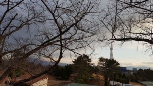 南へ！南へ！(2017.1.21)