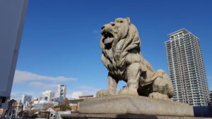 %e4%b8%8d%e5%b9%b8%e4%b8%ad%e3%81%ae%e5%b9%b8%e3%81%842017-1-6